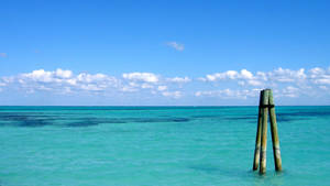 Fondo de pantalla de la vista del océano en Bahamas — Vista al océano Fondos de pantalla