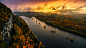 Fondo de pantalla Vista del río y el bosque — Vista del bosque Fondos de pantalla