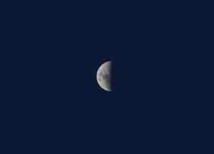 Fondo de imagen