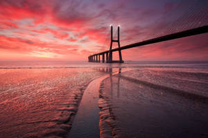 Fondo de pantalla Chromebook Puente Vasco da Gama — Chromebook Fondos de pantalla