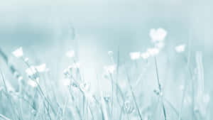 5120x2880 — 5120x2880 Fondos de pantalla
