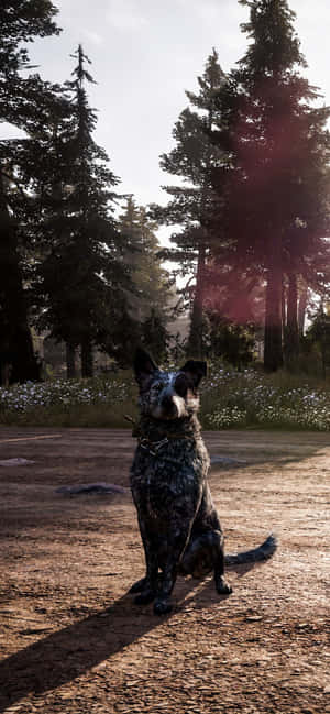 Fondo de pantalla iPhone Xs Max Far Cry 5 — POCO F Fondos de pantalla