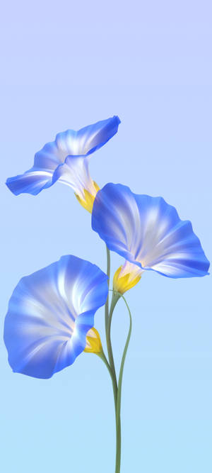 Vivo Y11 Flores Azules