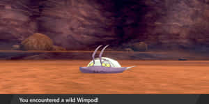 Wimpod Salvaje de Pokémon Espada y Escudo
