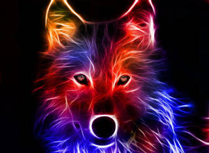 Zorro Colorido Genial